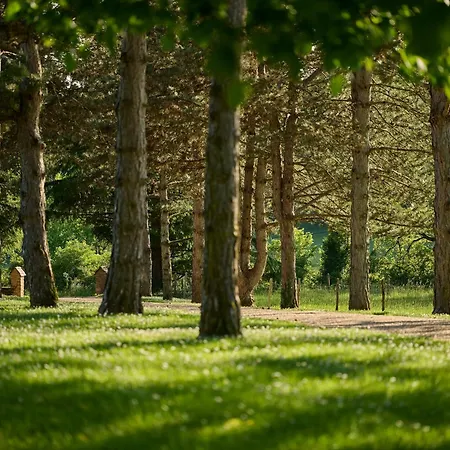 La Metairie - Teritoria- Les Collectionneurs 4*