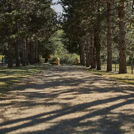 La Metairie - Teritoria- Les Collectionneurs ホテル Mauzac-et-Grand-Castang