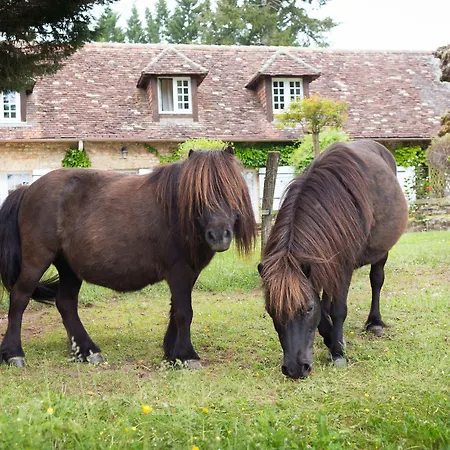 ホテル La Metairie - Teritoria- Les Collectionneurs