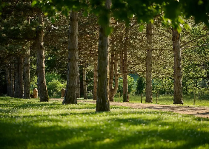 La Metairie - Teritoria- Les Collectionneurs 4*