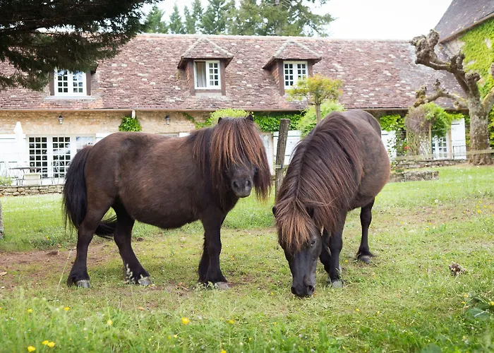 Hotel La Métairie - Les Collectionneurs